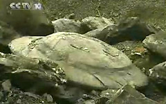 湖南奇石：外星人创造人类的直接证据
